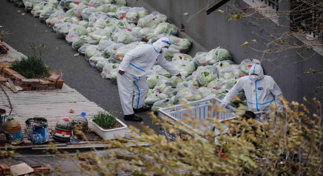 Çinde günlük Covid-19 vaka sayısı ilk kez 40 bini geçti