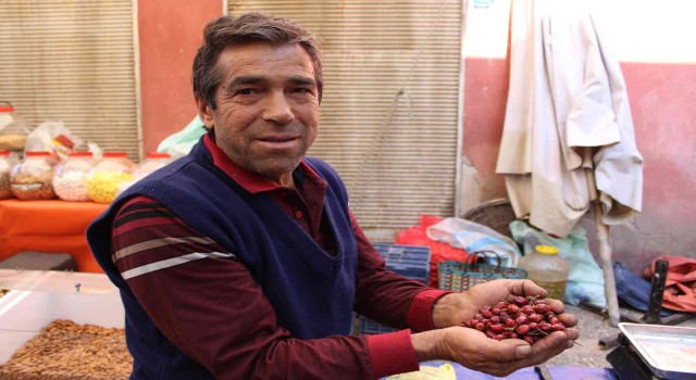 Dağlardan gelen şifa kaynağı kuşburnuna rağbet arttı
