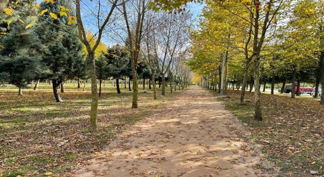 Dev mesire alanında sona gelindi