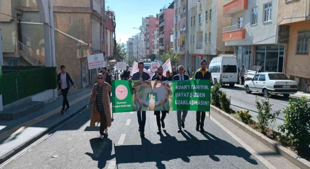 Diclede sağlıkçılardan sağlıklı yaşam yürüyüşü