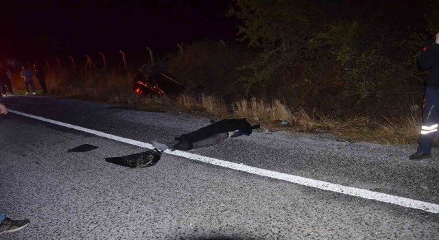 Didimde trafik kazası: 2 ölü