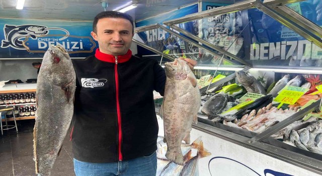 Diyarbakırda havaların soğuması ile ciğer ve kebabın yerini balık aldı