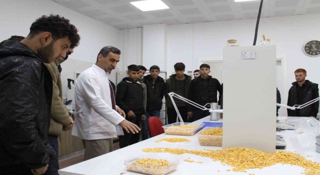 Diyarbakırda meslek lisesi öğrencileri yem, hububat ve un analizi yaptı