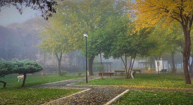 Diyarbakırda yoğun sis tarihi ilçede görsel şölen oluşturdu