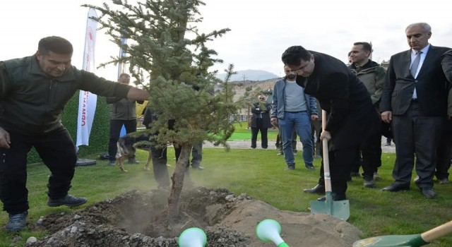 Doğa harikası Tortum Şelalesinin çehresi yeni dikilen fidanlarla değişecek
