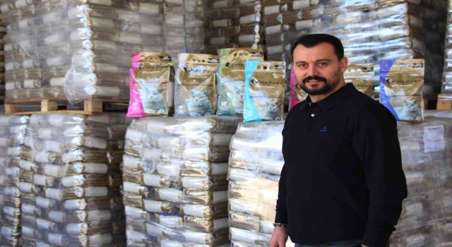 Doğu Karadenizden dünyaya kedi kumu ihraç ediyorlar