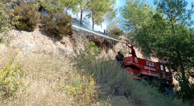 Dörtyolda çıkan orman yangını söndürüldü