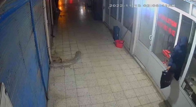 Dükkana pencereden giren hırsız, poşet dolusu cep telefonu çaldı