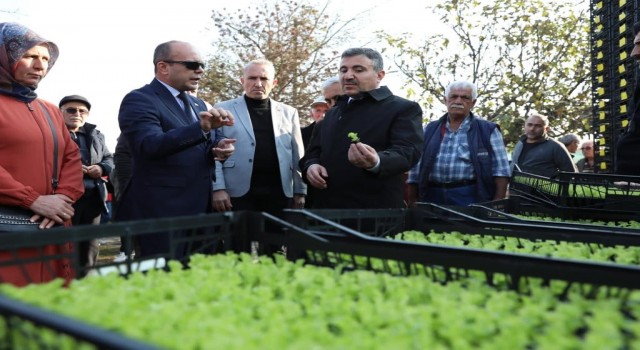Düzcede ‘Salata, Marulsuz olmaz projesi başladı