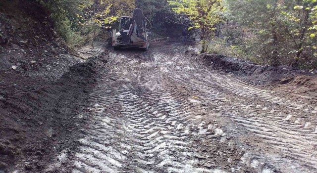 Efeler, kapanan Alatepe Yayla yolunu açtı