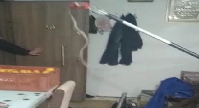 Elazığda eve giren 1 metrelik yılan paniğe neden oldu, ailenin yardımına itfaiye ekipleri yetişti