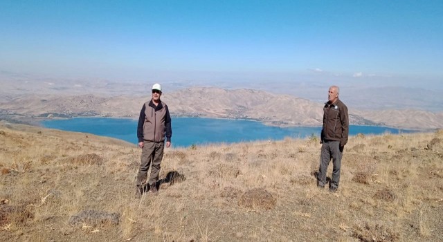 Elazığda yasadışı avcılık yapan şahsa ceza