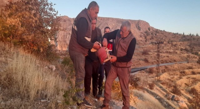Elazığda yasadışı avcılık yapan şahsa idari işlem uygulandı