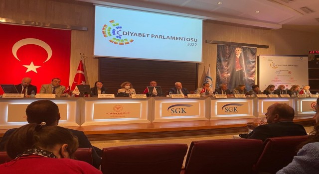 Elazığlı öğretmen doğu illerini temsilen 12. Diyabet Parlamentosuna katıldı