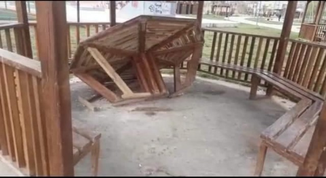 Elbistanda park ve mesire alanlarındaki kamelyalar tahrip edildi
