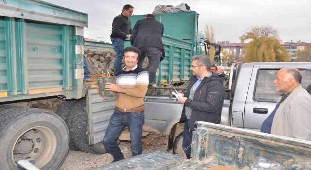 Elbistanda üreticilere hibe destekli alıç fidanı dağıtıldı