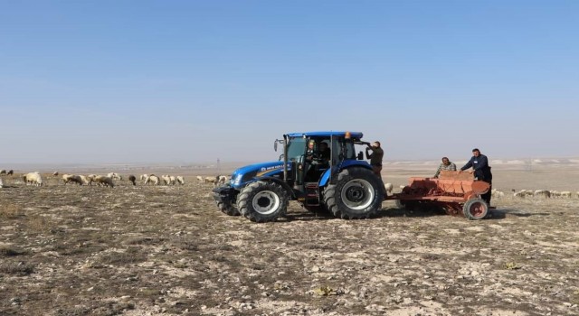 Emirdağda sulu ve kuru buğday çeşitlerinin deneme ekimi yapıldı