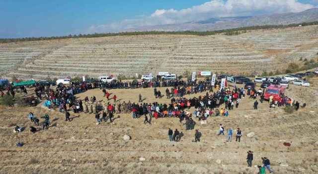 Erzincanda 410 dönüm alanda 36 bin adet fidan toprakla buluşturuldu