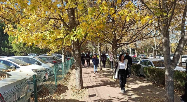 ESOGÜden hayran bırakan sonbahar manzaraları