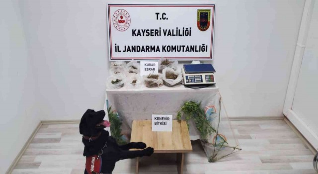 Evinin bahçesinde uyuşturucu üreten şahıs yakalandı