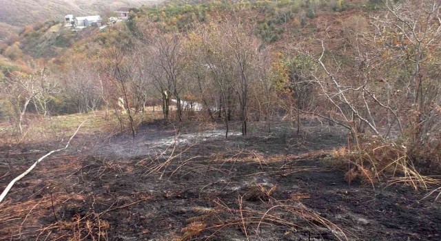 Eyüpsultanda ağaçlık alanda çıkan yangında faciadan dönüldü