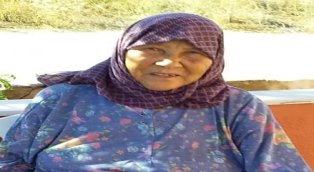 Ezinede kaybolan kadın için arama çalışmaları başlatıldı