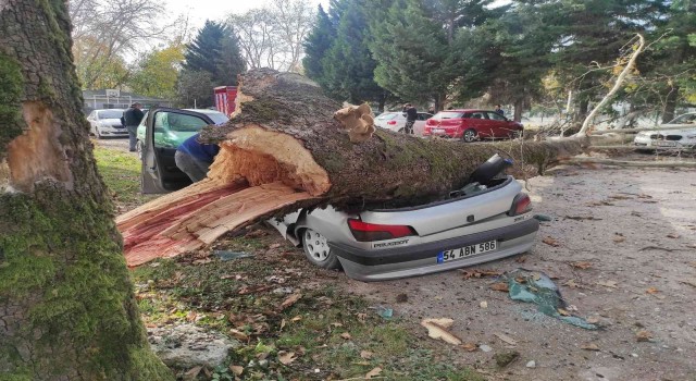 Facianın eşiğinden dönüldü: Aracını bırakıp okula gitti, dakikalar sonrası korkunç