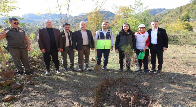 Fatsada fidanlar toprakla buluştu