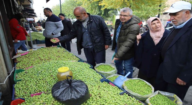 Gaziantepte yeşil zeytin tezgaha indi
