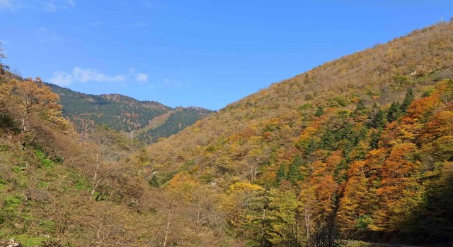 Giresun yaylalarında sonbahar esintileri