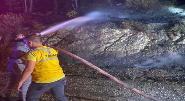 Gönen Geyikli kırsal mahallesinde yangın çıktı