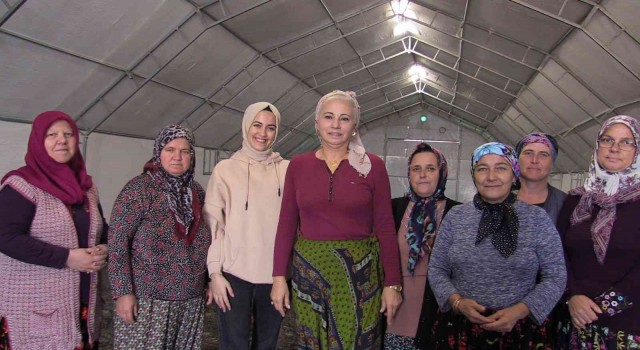 Gönene 500 kaz yetiştirme tesisi ve kazevi projesi