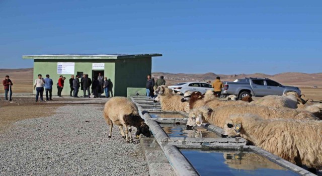 Günyüzü Yaylasının su ihtiyacı güneş panelleriyle sağlanıyor