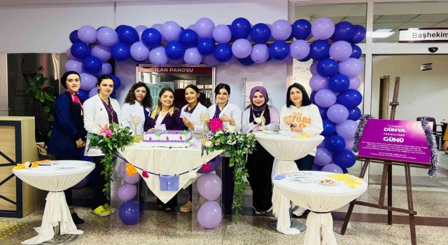 Hakkaride 17 Kasım Dünya Prematüre Günü etkinliği