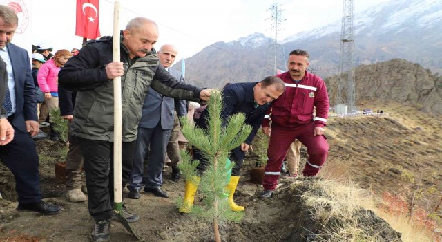 Hakkaride 2 bin 500 fidan dikildi