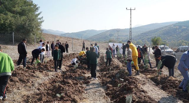 Hasanbeyli İlçesi’nde fidanlar toprakla buluştu