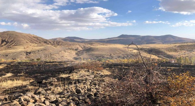 Hekimhanda arazi yangını: 8 dönüm zarar gördü