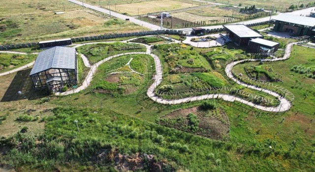 Hersek Lagünü Altınovanın yeni turizm noktası oldu