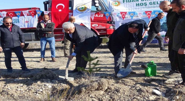 Hisarcıkta 300 fidan dikildi