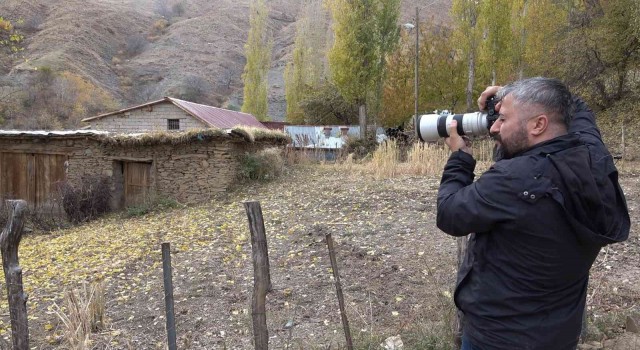 Hizanda sonbaharla gelen taş ev güzelliği