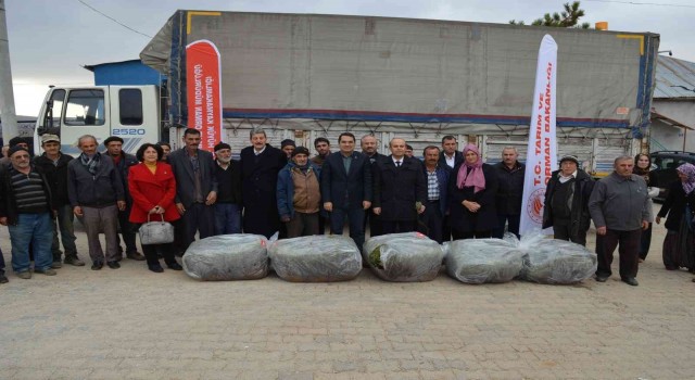 Hüyükte üreticilere 170 bin adet lavanda fidesi dağıtıldı