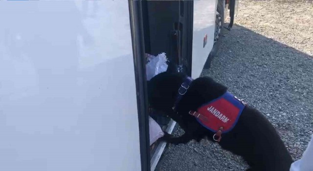 Iğdırda yolcu otobüsünde uyuşturucu ele geçirildi