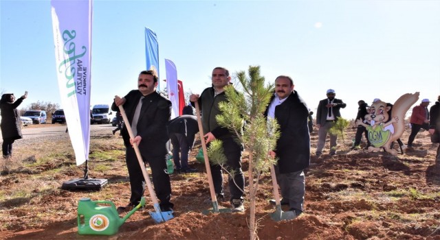 İnönüde 5 bin fidan toprakla buluştu