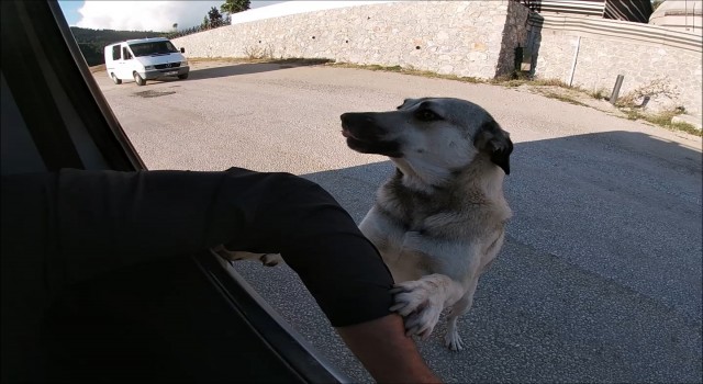 İnsanın içini ısıtan buluşma