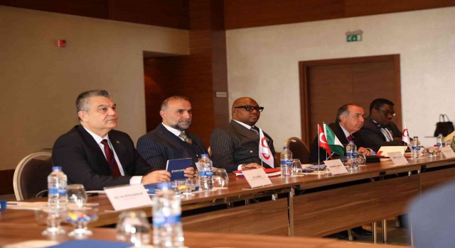 İstanbulda Türkiye-Afrika Ticaret ve Yatırım Konseyi Sigortacılık Zirvesi düzenlendi