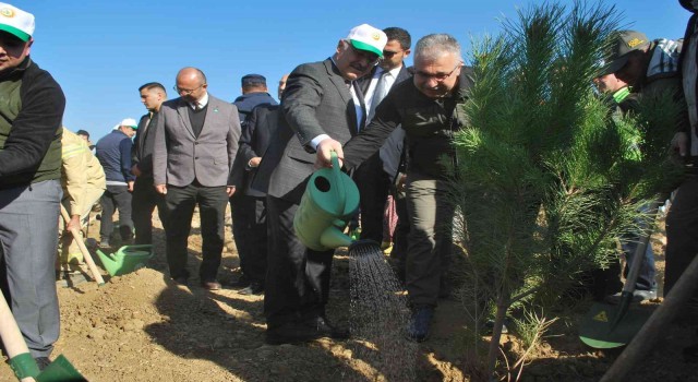 İzmirde 42 bin fidan toprakla buluştu