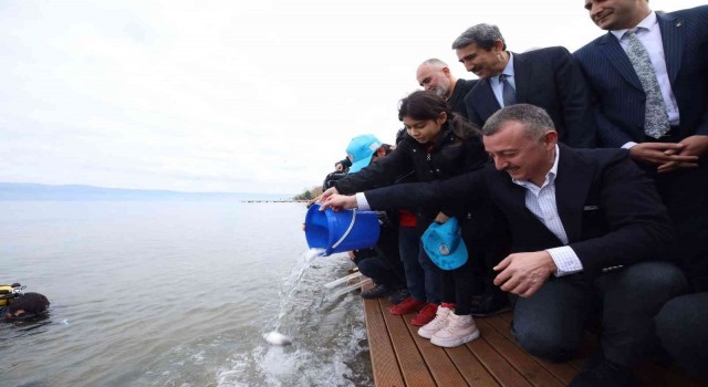 İzmit Körfezine 6 bin balık daha bırakıldı: Adım adım izlenebilecekler