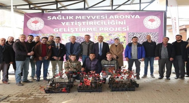 İznikin bereketi, sağlık meyvesi aronya ile buluşuyor