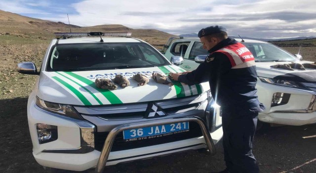 Jandarma kaçak avcıları suçüstü yakaladı