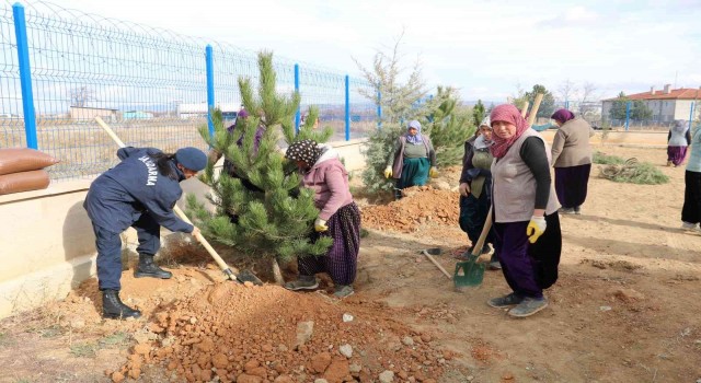 Jandarma karakol bahçesine ağaç dikti